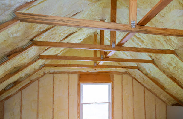 Best Specialized Insulation Services in Henderson, GA
