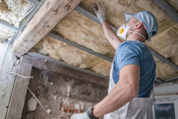 Best Blown-in Insulation in Henderson, GA