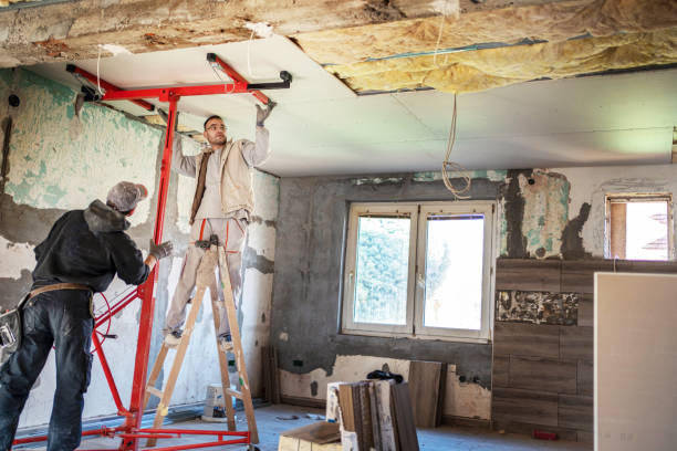 Best Eco-Friendly Insulation in Henderson, GA