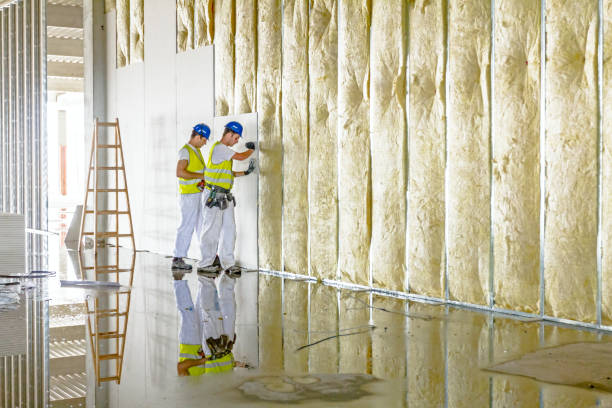 Best Residential Insulation in Henderson, GA